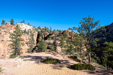 Zion National Park