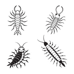 A drawing of a centipede line art illustration