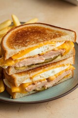A mouthwatering sandwich featuring a fluffy egg, tender chicken, and melted cheese on toasted bread.