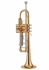 Fototapeta premium Trumpet on white background isolated