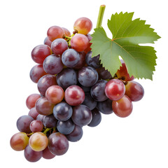 Fototapeta premium Red and Purple Grapes Fresh Fruit Bunch Vine Clusters Healthy Eating isolated on transparent background