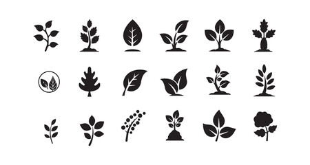 Black and White Botanical Leaf and Plant Icon Set


