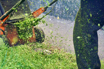 Landscaping.Summer grass cutting with handle lawn mower 