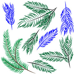 A collection of diverse vector branches, combining realistic green coniferous/palm branches and stylized blue leafy elements. Perfect for winter, holiday, or ecological projects.