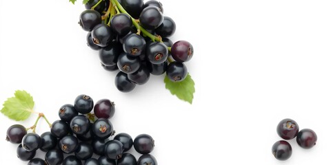 A bountiful cluster of ripe black currants, isolated against a pristine white backdrop, bunch, currants