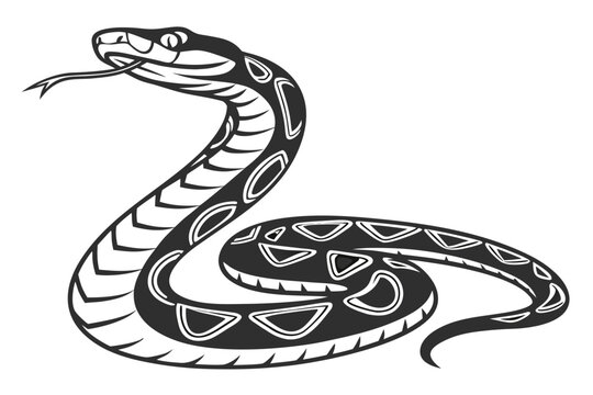 python sihouette black vector
