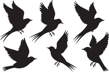 Obraz premium Birds Silhouettes on White Background 