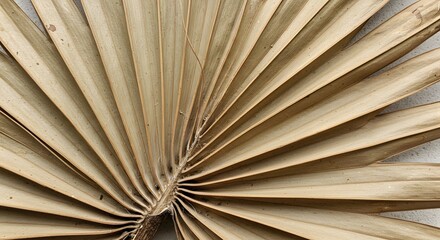 Dried palm leaf texture with natural lines and muted colors