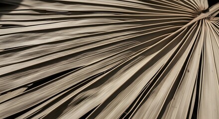 Dried palm leaf texture with natural lines and muted colors