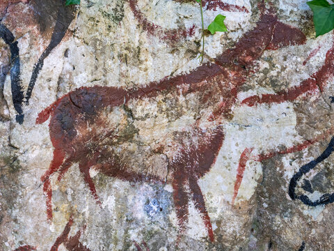 Simulation of cave paintings found in the forests of the Basque Country (Spain) - Powered by Adobe