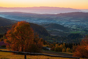Brzask © Albert