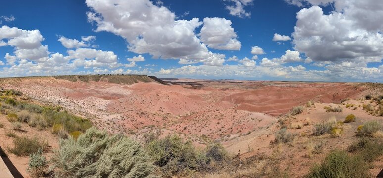 Petrified Forest National Park is in northeastern Arizona. It has many diverse areas to explore. 