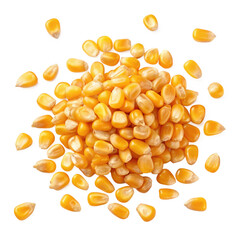 "Scattered Yellow Corn Kernels Isolated on Transparent Background"