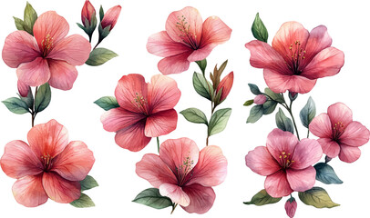 seamless pattern with pink flowers