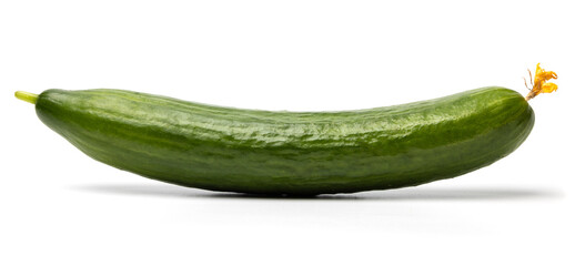 Photo of green ripe natural organic cucumber isolated on white background