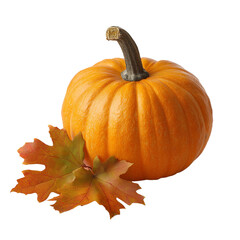 Autumnal Pumpkin Still Life with Maple Leaves Decor