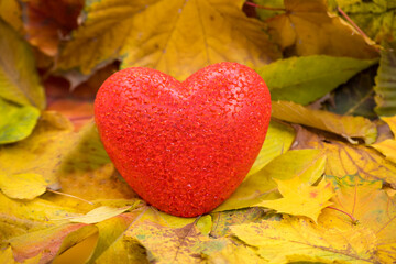 Red heart-shaped decoration resting on vibrant autumn leaves in a serene outdoor setting during...