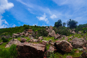 Fototapeta premium mountain, mountains, algeria, africa, landscape, nature, sky, panorama, outdoor, peak, hill, background, scenery, view, travel, rock, forest, valley, beautiful, hiking, adventure, scenic, tourism.
