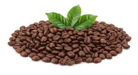 Obraz premium Roasted Coffee Beans with Fresh Green Leaves, Isolated on White high quality