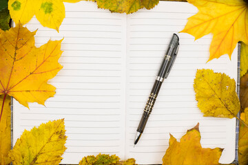 An open notebook with a pen surrounded by autumn leaves in vibrant yellow tones on a sunny day