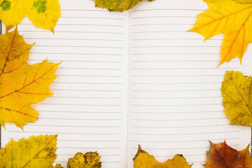 Golden and brown leaves frame an open notebook with blank pages, resting on a wooden surface, capturing the essence of autumn's creative spirit. postcard