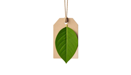 Green Leaf Attached To Brown Tag With String Against Transparent Background