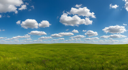 Fototapeta premium Scenic Green Field and Cloudy Blue Sky Panorama high quality