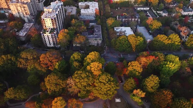 Aerial view of buildings interspersed with trees, the warm tones of sunrise casting a golden glow, creating a captivating contrast, Atlanta, Georgia, United States.