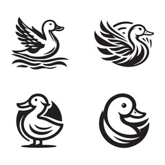 Obraz premium Four stylized black and white duck illustrations showcasing different poses and designs