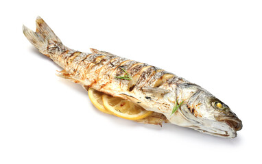 Tasty roasted seabass fish with spices isolated on white. Homemade seafood dish