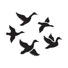 Obraz premium Silhouette flock of five ducks in flight against a white background in a circular formation
