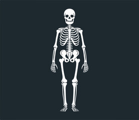 Halloween Skeleton Clipart, Spooky Bones Vector, Haunted Skeleton PNG, Scary Halloween Art