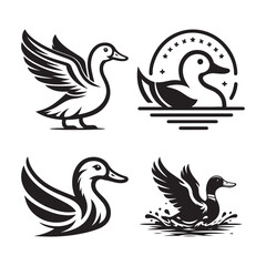 Obraz premium Collection of four stylized black and white duck illustrations in different poses and styles