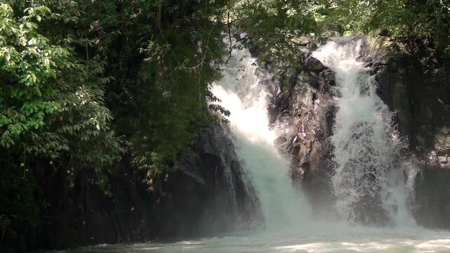 Waterfall in Dense Forest. Slow Motion