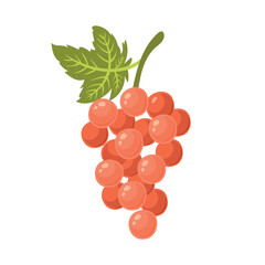 grapes. Vector cute illustration of fruits in flat style on white background