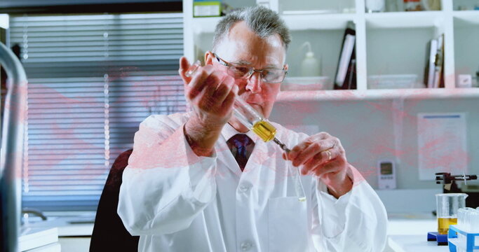 Dispensing senior scientist wearing lab coat in lab, holding pipette and filling beaker with liquid