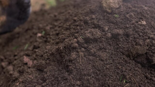Proceso tradicional de preparaci&oacute;n de alimentos bajo tierra llamado Pachamaca, gastronom&iacute;a ex&oacute;tica en Otavalo, Ecuador 