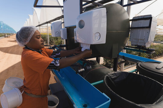 African American woman taking dispenser sheet by nutrient tank in hydroponic greenhouse, copy space