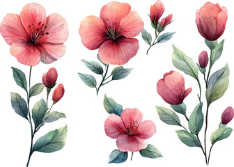 seamless pattern with pink flowers