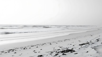 High-resolution black and white stock photo timeless and elegant beach scene, commercial quality, professional lighting, classic aesthetic