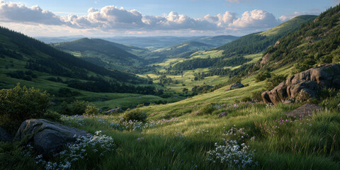 Verdant valley viewed from a hillside, dotted with wildflowers and framed by lush green hills under a vast, serene sky.