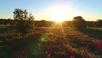 Obraz premium Golden hour landscape with trees and field