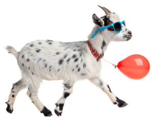 A spotted goat wearing blue sunglasses and a red collar holding a red balloon on a transparent background