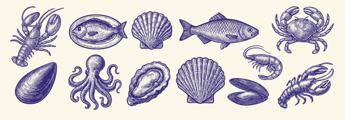 A blue and white drawing of various sea creatures including fish, crabs, and octopuses. The drawing has a vintage feel to it