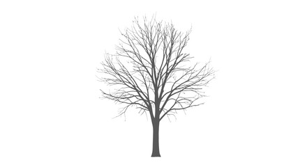Obraz premium Bare Tree Silhouette on White Background Depicting Winter's Stark Beauty for Design Projects 65445546456465464656546545645654
