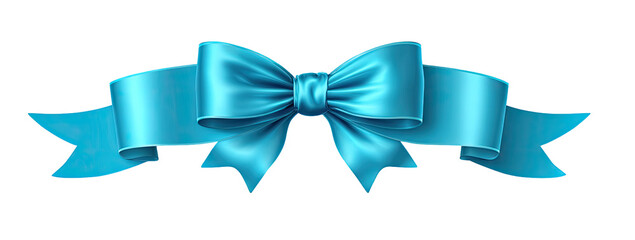 Teal ribbon bow