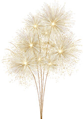 Golden firework bursts, radiating light