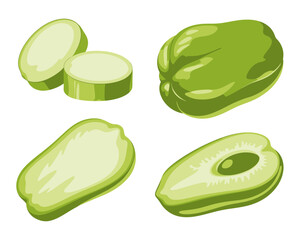Chayote Squash Vector Illustration Featuring Whole Halved and Sliced Pieces on a White Background Depicting Fresh Vegetables