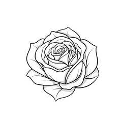 Rose Flower Outline – Elegant Botanical Line Art


