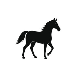 horse silhouette isolated on white